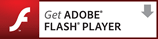 FLASH　PLAYER
