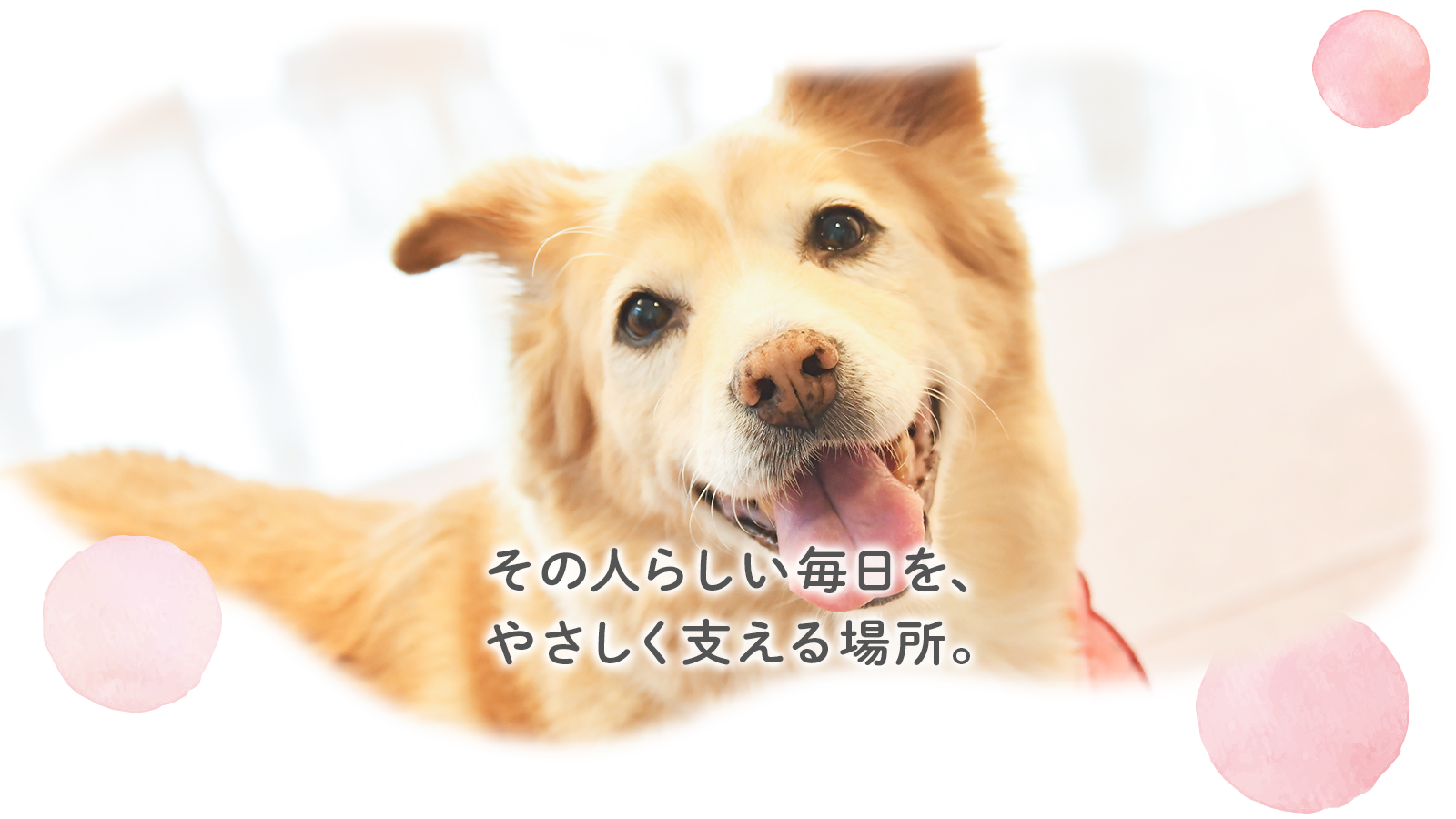 その人らしい毎日を、 やさしく支える場所。